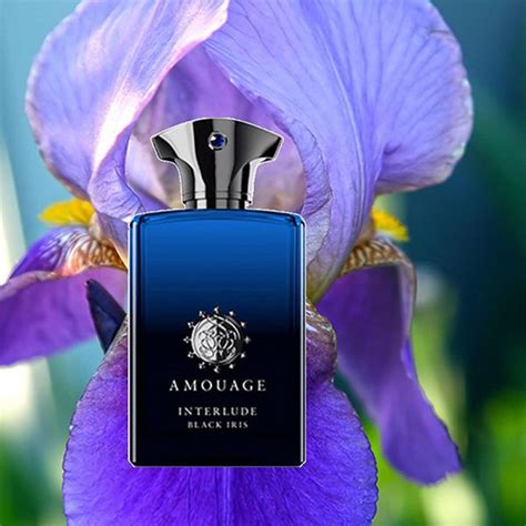 amouage interlude black iris man.